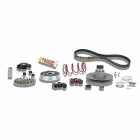Variator kit MALOSSI 6112812