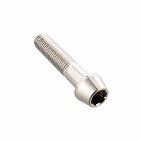 PRO-BOLT Stainless Steel Tapered Screw M10x1.25 40mm