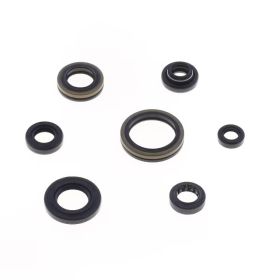 ATHENA P400510400253 Engine Seal Kit for Suzuki