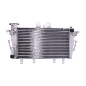 Radiatore acqua JMP TRS-R-707 per Triumph TIGER