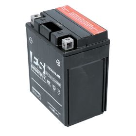 Batterie acide scellée EnergySafe ESTX14AHL-BS