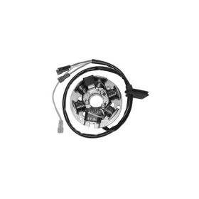 DUCATI ENERGIA 6-poliger Stator mit Platte und Abnehmer