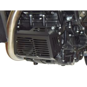 ISOTTA Kühlergrill schwarz für BMW F 700 GS