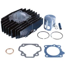 POLINI Thermal Group D.46 Hub 39,6 70cc Gusseisenzylinder