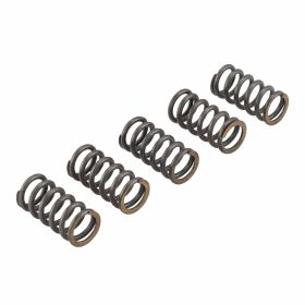Kit 5 molle frizione CASAPERFORMANCE rifnorzate per Lambretta 125 LI