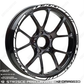 KIT STRISCE PROFILI J300 ADESIVI CERCHI STICKERS LOGO J300 BIANCO