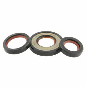 Motordichtringe MALOSSI 6615751