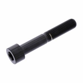 PRO-BOLT Stainless Steel Allen Screw M10x1.25 60mm Glossy