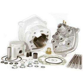 Haut moteur cylindre MALOSSI 3112985