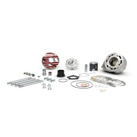Gruppo termico MALOSSI MHR 100 testa rossa scomponibile per Aprilia/Derbi/Gilera