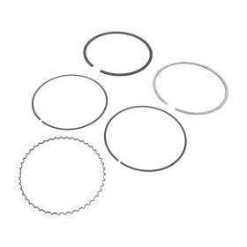 ATHENA S41316409 Chromkolbensegment