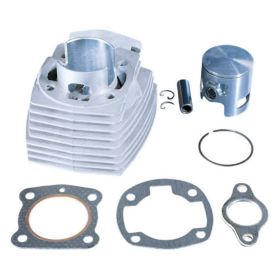 POLINI Thermal Group D.46 Hub 39 65cc Aluminiumzylinder
