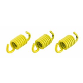 Kupplungsfeder MALOSSI 29 8742B