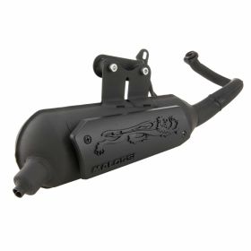 Pot echappement moto MALOSSI 3216579