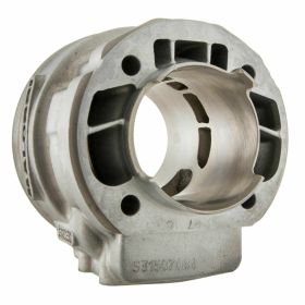 Zylinderkit MALOSSI 3115374