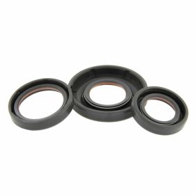 Motordichtringe MALOSSI 6615751