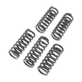 Kit 6 molle frizione EBC CSK254 per Honda CRF 1000