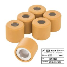 Kit 6 rulli PIAGGIO D.19x17 - 7,4 gr