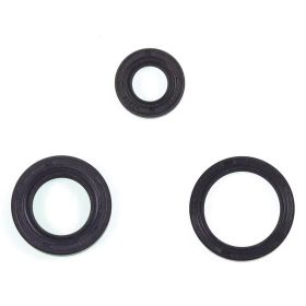 ATHENA Engine Oil Seal Kit P600393400001