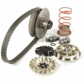 Variator kit MALOSSI 6112812