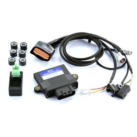 Unité ECU POLINI Peugeot Kisbee 50 E5