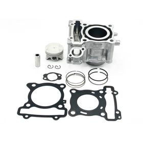 Cilindro Completo HERT 125cc per Yamaha Nmax 2015/2020/R125/Fantic 125
