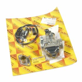 Carburateur 19 MALOSSI 1611001