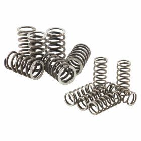 MALOSSI 2916649 Clutch springs