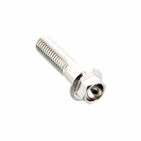 PRO-BOLT hexagon screw M8x1.25 32mm inox