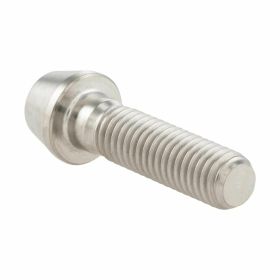SIP Rim Screw M8x30mm Silver for Vespa ET2