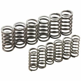 MALOSSI 2916649 Clutch springs