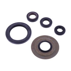 Kit paraoli e guarnizioni motore TOURMAX OSL-217 per Yamaha XV 750 SE SPECIAL