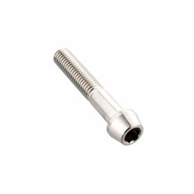 PRO-BOLT Conical Screw Stainless Steel M8x1.25 45mm