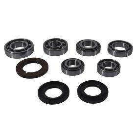 Kit revisione cuscinetti differenziale ALL BALLS posteriori 25-2109 per Yamaha YFM 700