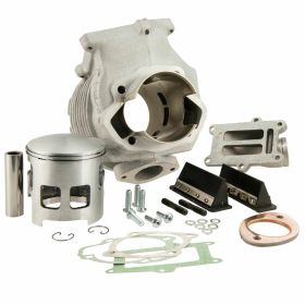 AF RAYSPEED RB22 225cc Cylinder in Aluminum 6 Transfers Nikasil Coated ASSO Piston