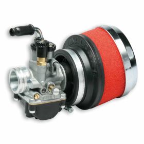 Carburateur 19 MALOSSI 1611021.T