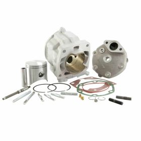 Zylinderkit MALOSSI 31 6814