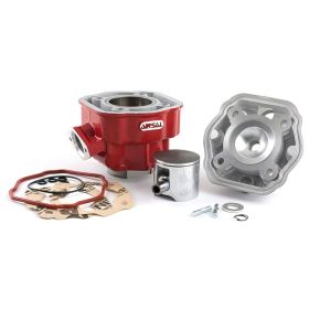ZYLINDERKIT AIRSAL C01089950