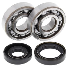 Kit cuscinetti e paraoli albero motore All-Balls 24-1008 per KAWASAKI