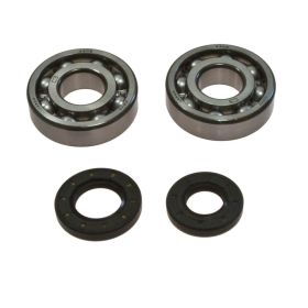 KIT DE ROULEMENT DE VILEBREQUIN ALL BALLS 24-1009 JOINT D'ÉTANCHÉITÉ pour Kawasaki KX 250