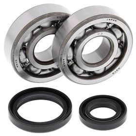 Kit cuscinetti e paraoli albero motore All-Balls 24-1014 per SUZUKI