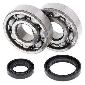 Kit cuscinetti e paraoli albero motore All-Balls 24-1016 per SUZUKI