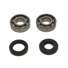 Kit cuscinetti e paraoli albero motore ALL BALLS 24-1061 per Yamaha PW 50