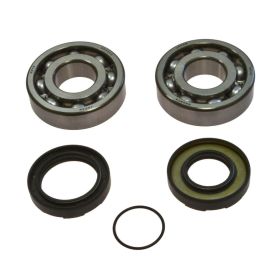ALL BALLS Motorwellenlager-Kit 24-1066 mit Dichtungsring für Yamaha DT