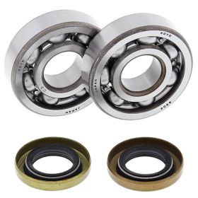 Kit cuscinetti e paraoli albero motore All-Balls 24-1102