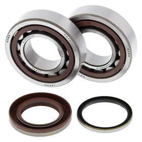 Kit de roulements et joints de vilebrequin All-Balls 24-1105 pour KTM