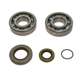 ALL BALLS Kurbelwellenlager-Kit 24-1112 mit Dichtungsring für Gas Gas EC 200