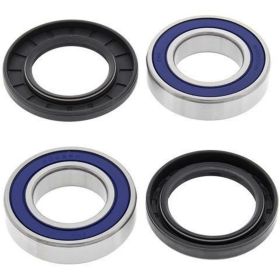 ALL BALLS komplettes Radlager-Kit 25-1109 und Dichtungsring für Yamaha YFM 80