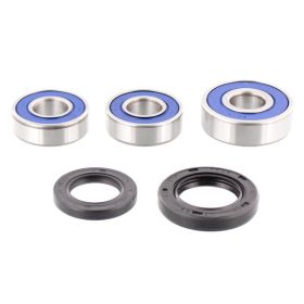 Kit cuscinetti ruota ALL BALLS completo 25-1201 e anello di tenuta