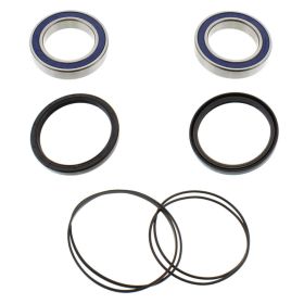 Kit cuscinetti ruota ALL BALLS 25-1320